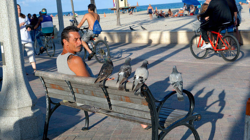 man and pigeons at the beach of Hollywood Beach, FLorida